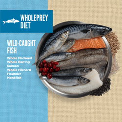Thumbnail: Orijen Amazing Grains, Six Fish Dry Dog Food