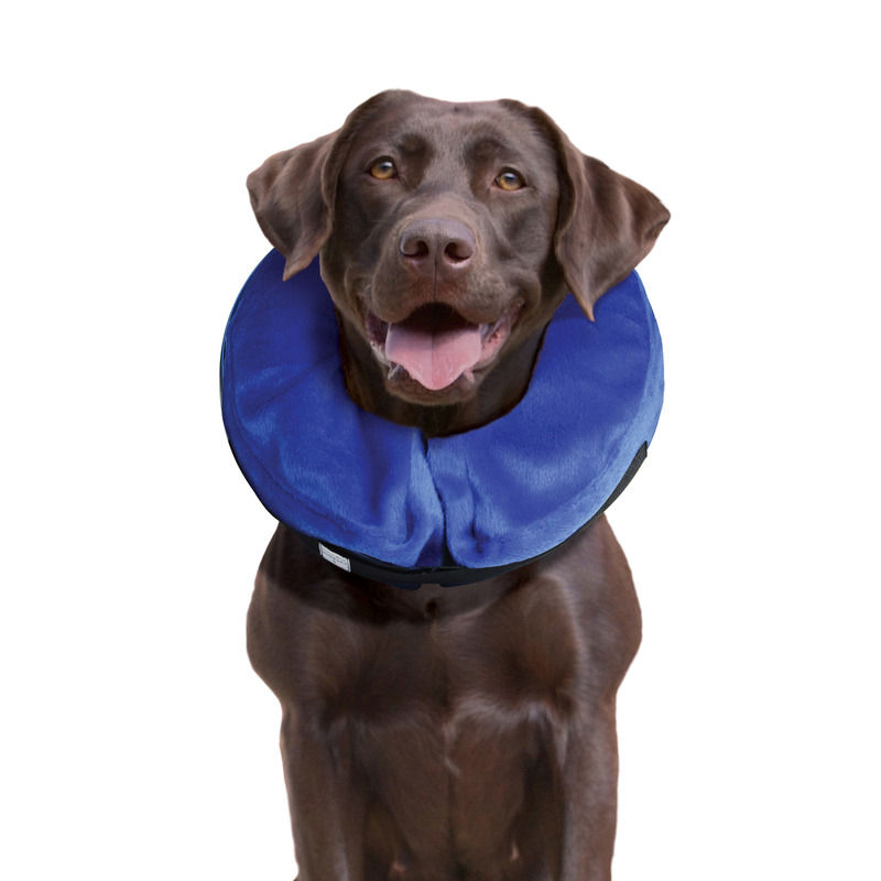 Thumbnail: KONG E-collar Cloud®