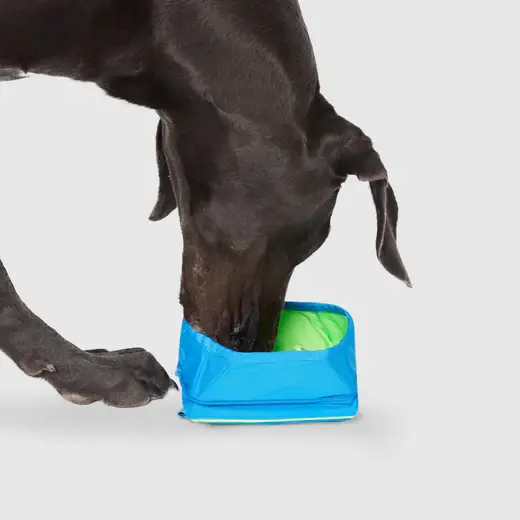 Thumbnail: Canada Pooch Chill Seeker Freeze-And-Go Water Bowl, O/S, Blue
