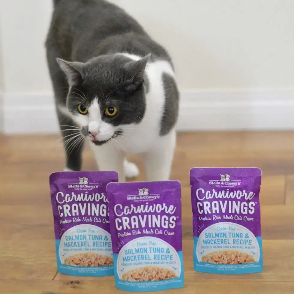 Thumbnail: Carnivore Cravings Salmon, Tuna & Mackerel Recipe, 2.8 OZ (Case of 24)