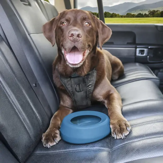 Thumbnail: Kurgo Splash Free Wander Dog Water Bowl
