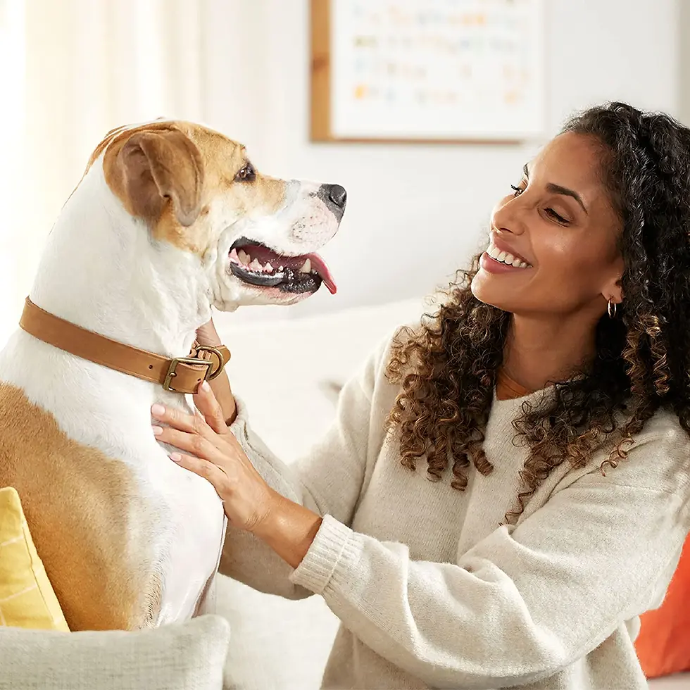 Thumbnail: Rachael Ray Nutrish Soup Bones Chicken & Veggies Recipe Dog Treats, 12.6 Oz