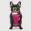 Thumbnail: Canada Pooch The Everything Harness Mesh Series