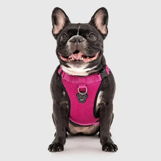 Thumbnail: Canada Pooch The Everything Harness Mesh Series