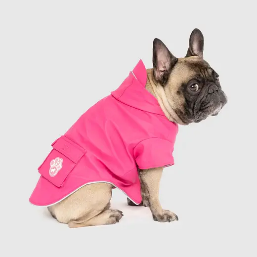 Thumbnail: Canada Pooch Torrential Tracker