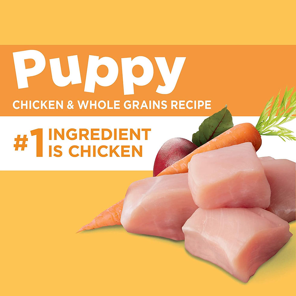 Thumbnail: Iams ProActive Health Smart Puppy Original Dry Food, 15 Ib