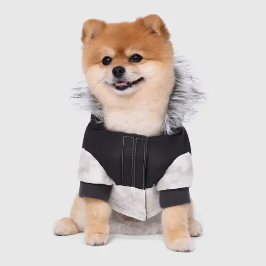 Thumbnail: Canada Pooch Eco+ True North Parka