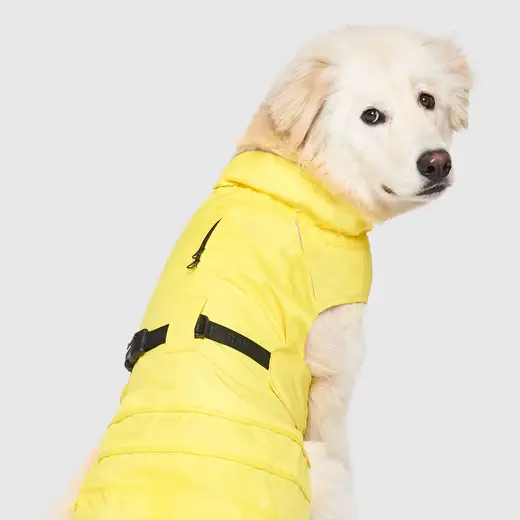 Thumbnail: Canada Pooch Grow With Me Raincoat