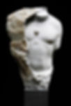 Custode