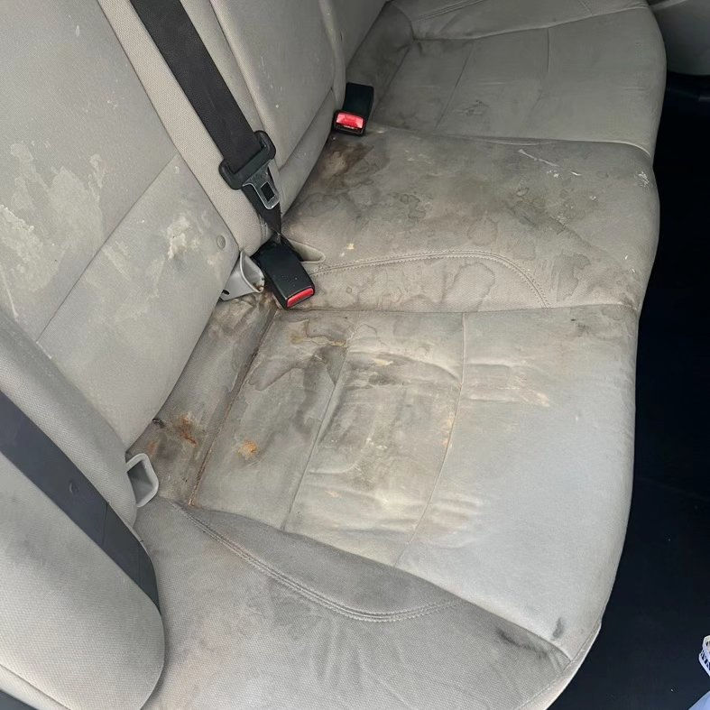 Seats And Carpet Shampoo