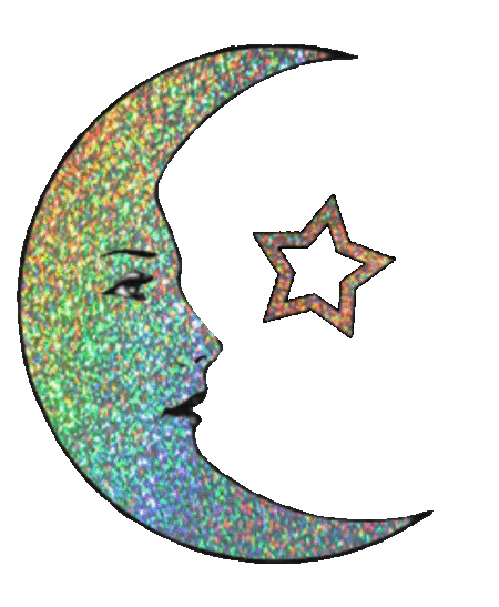 sparkle moon.gif