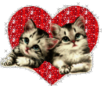 glitter cats.gif