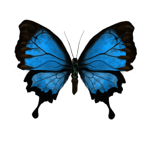 animated butterfly gif.gif