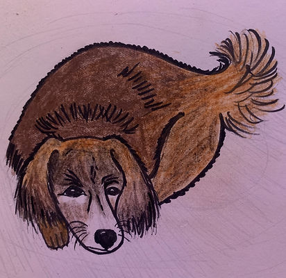 A drawn picture of Lainy Dove's dog, Max