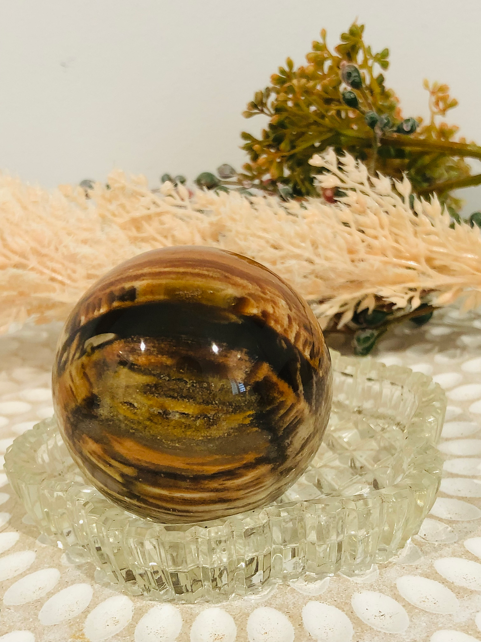 Petrified Wood Sphere