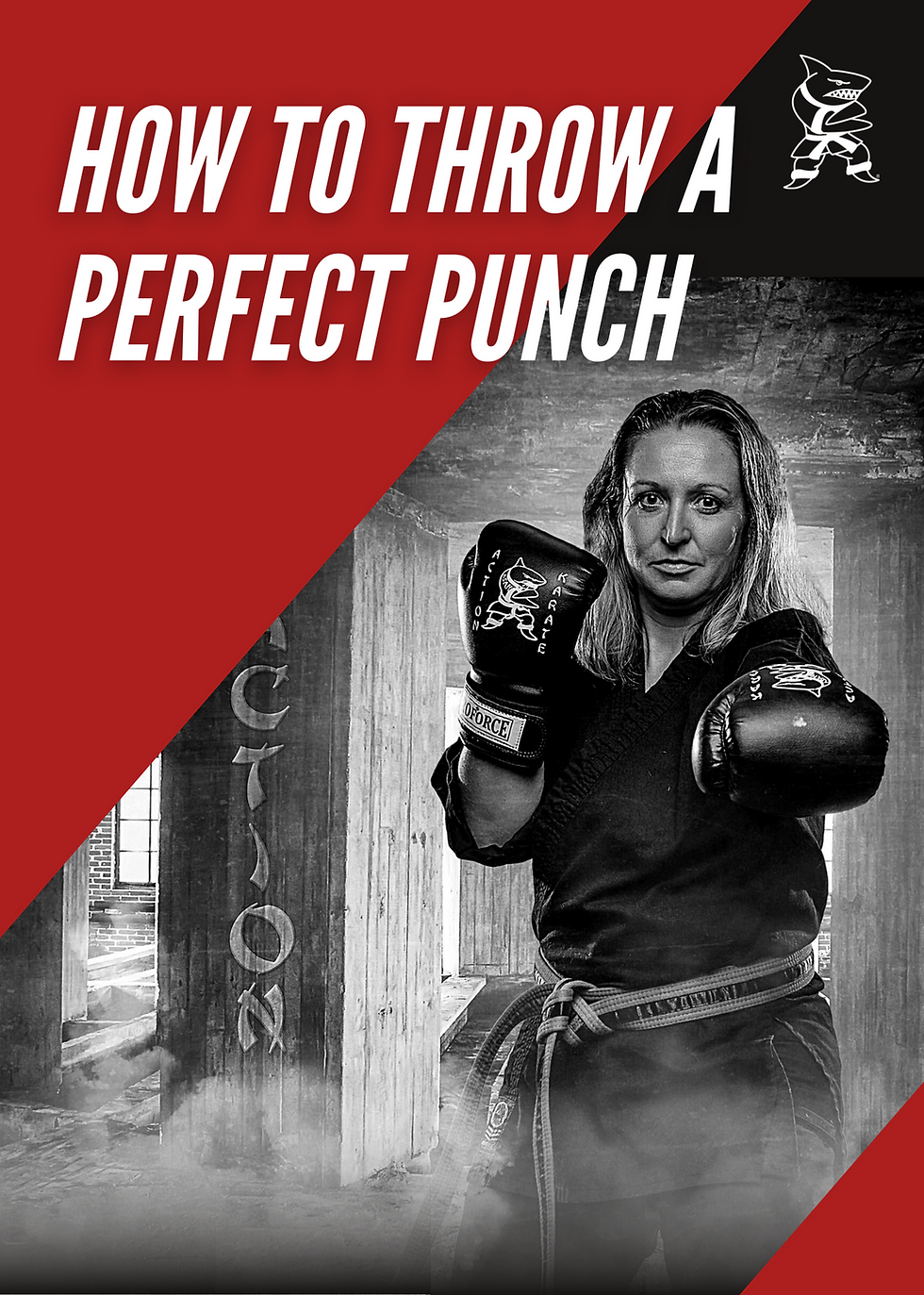 Action Boxing Fitness