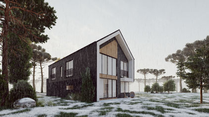 fachada casa galpão com 2 pavimentos na neve