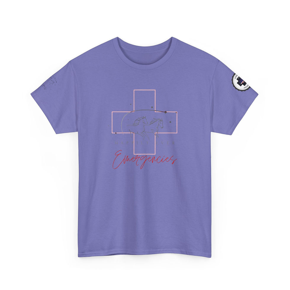 Thumbnail: T-Shirt — 'Instructor' Horse Riding Tee with Horse Illustration