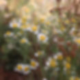 17924957633205158.webp