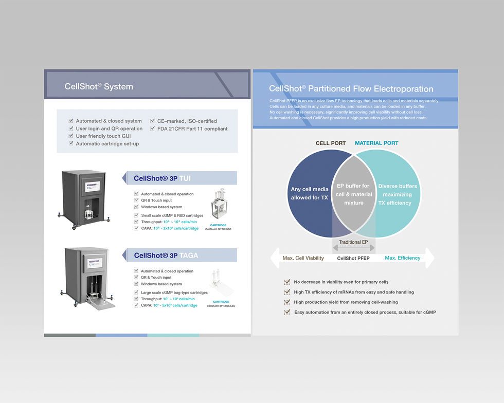 brochure_02