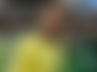 Neymar entra em Escócia x Brasil e volta a atuar na Seleção após 982 dias