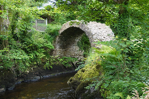 DSC00005.JPG