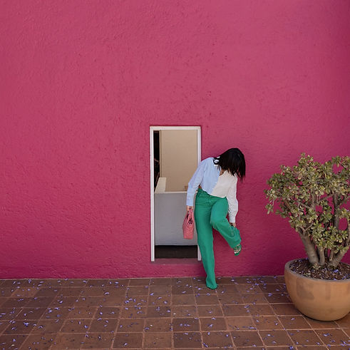 Venice in Wonderlnad Color block.JPG