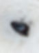 516501866_10163036936817662_3978590523553819372_n.jpg