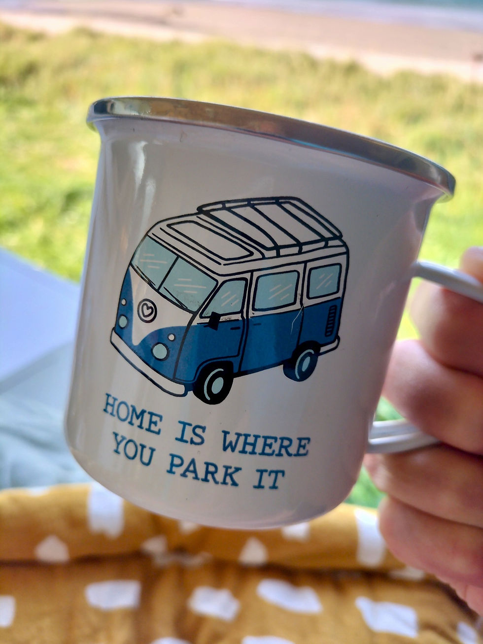 546217100_1186778943481907_4636993883846122986_n