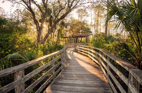 10 Healthy Things to Do in Naples, Florida