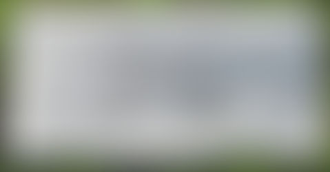 Florence Harllee - a life of quiet meaning          