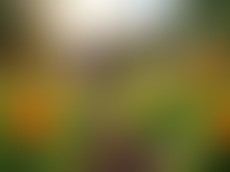 Building Futures: Economic Impact of Local Development