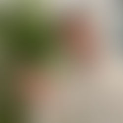 Feedback op je copywriter | 5 tips