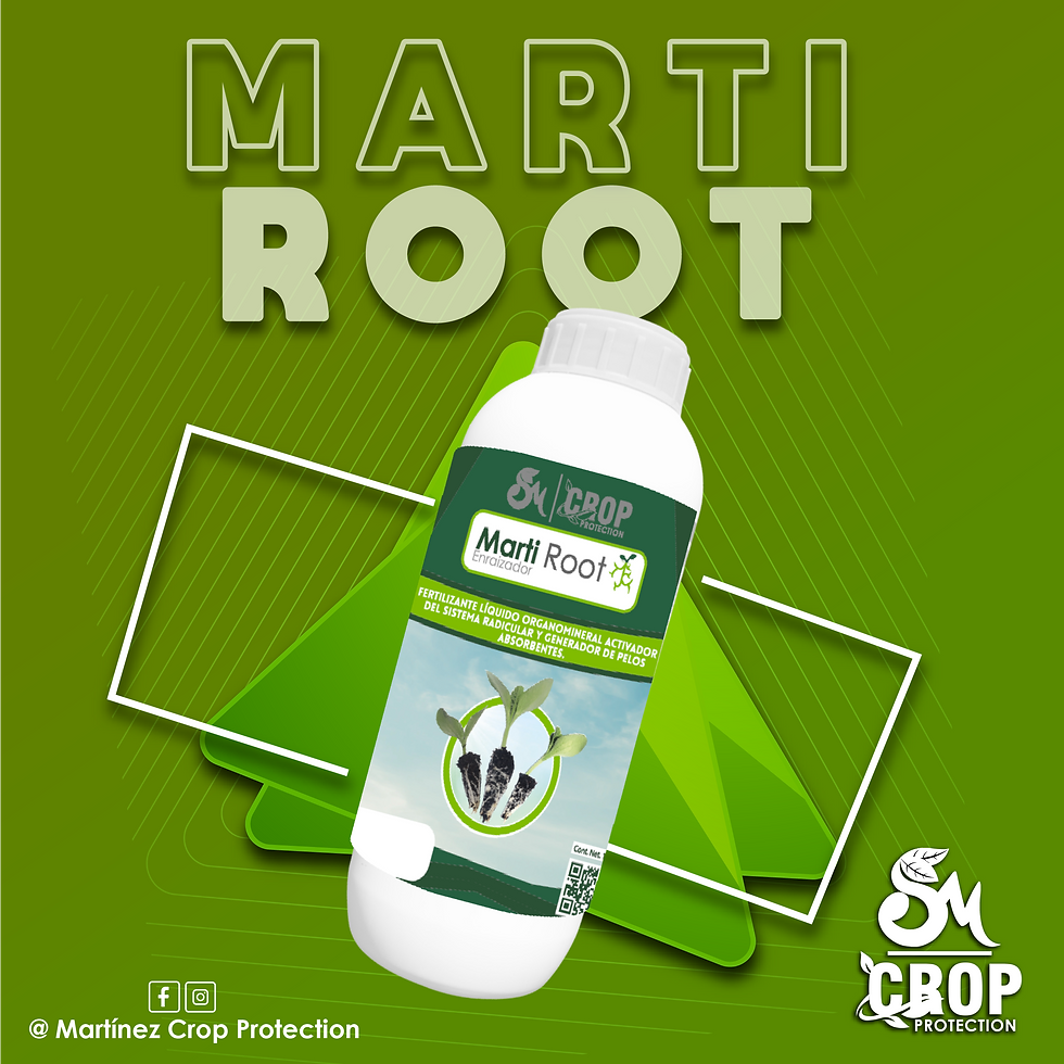 Productos Crop-06