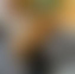 Essential Supplies for Bearded Dragon Care at Home