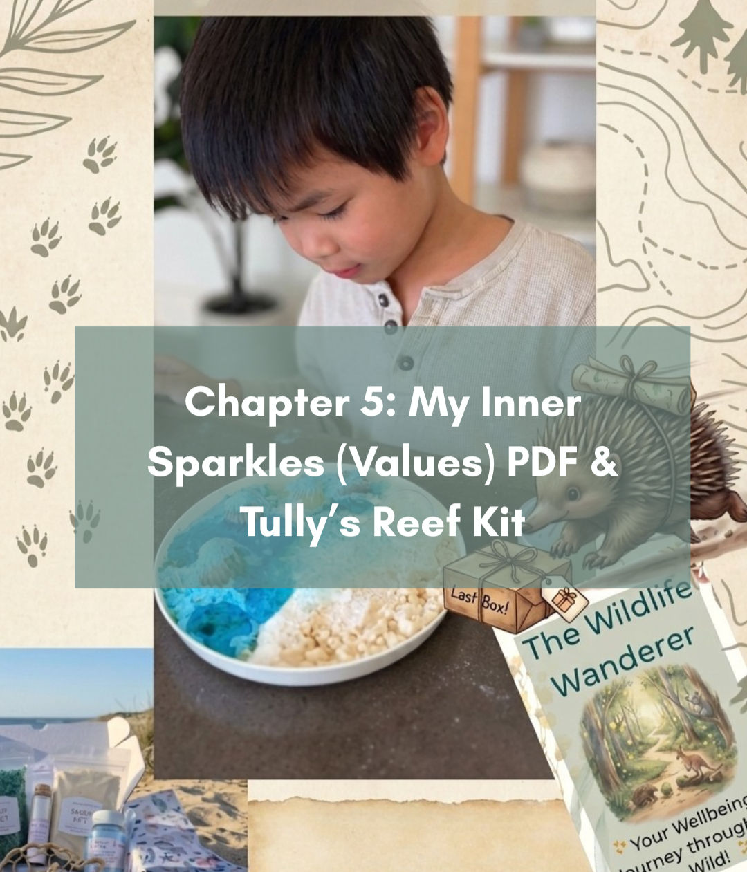 The Wildlife Wanderer Chapter 5 Values & Tully's Sensory Kit