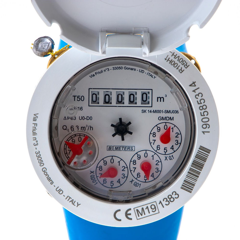 Thumbnail: 1" Water Meter