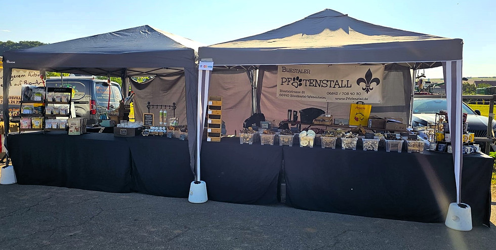 WhatsApp Image 2025-08-08 at 16.46.53.jpeg