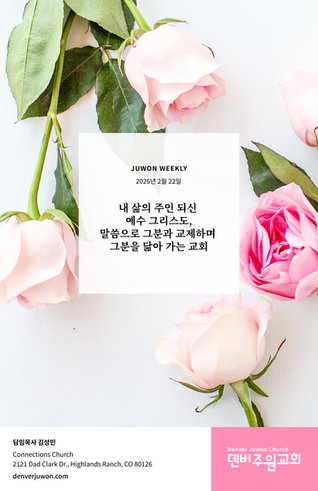 2026년 2월 22일 주보