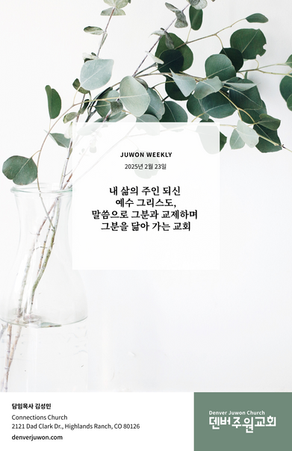 2025년 2월 23일 주보