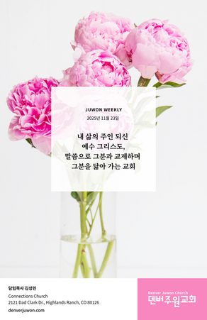 2025년 11월 23일 주보