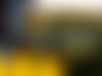 Comment se déroule une séance photo ?