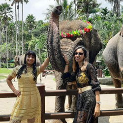 cheeky-monkey-elephant-park