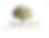 Paloverde_Logo_Circle_Color_edited_edited.png