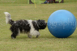 M&N Photography -4174