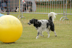 M&N Photography -4272