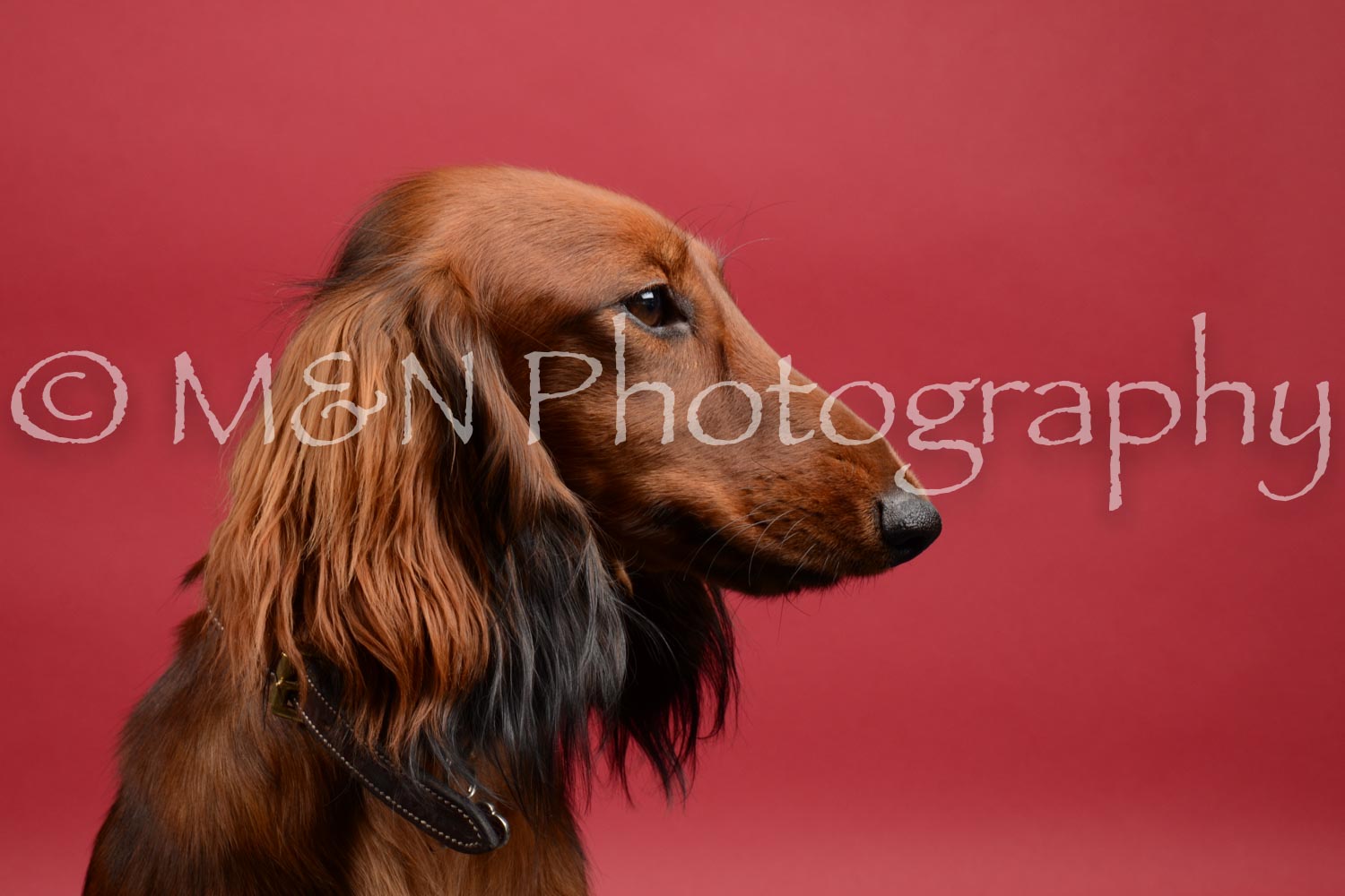 M&N Photography -DSC_8524