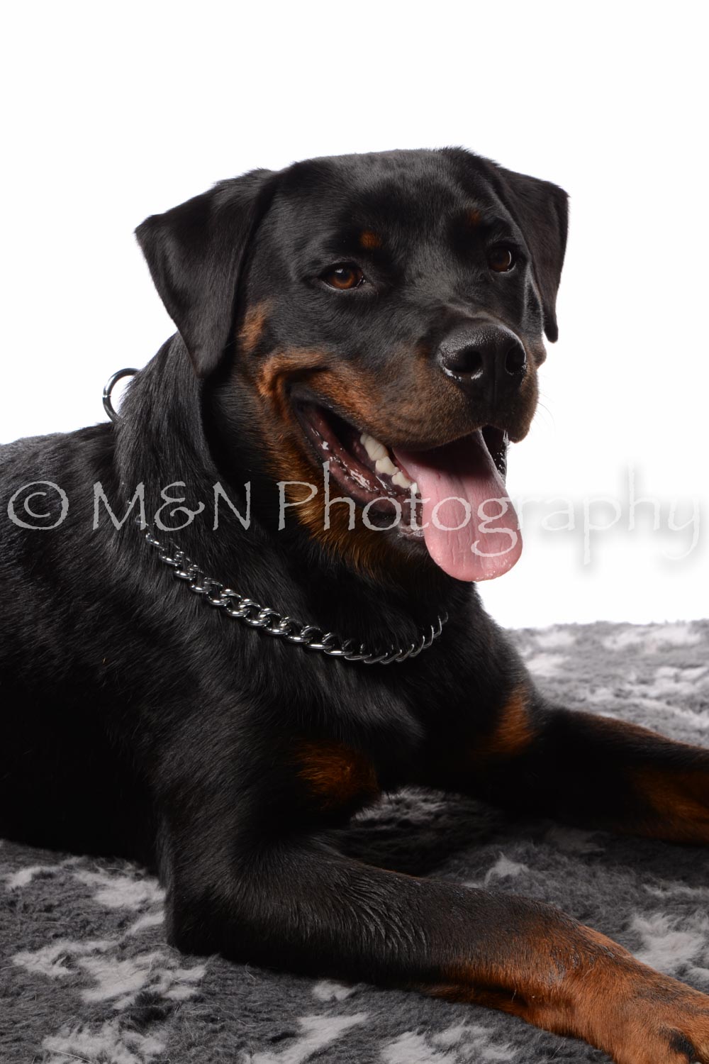 M&N Photography -DSC_8911