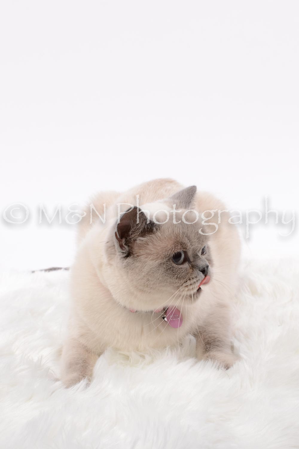 M&N Photography -DSC_8791