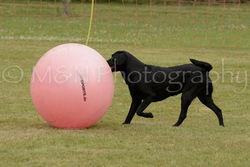 M&N Photography -4576